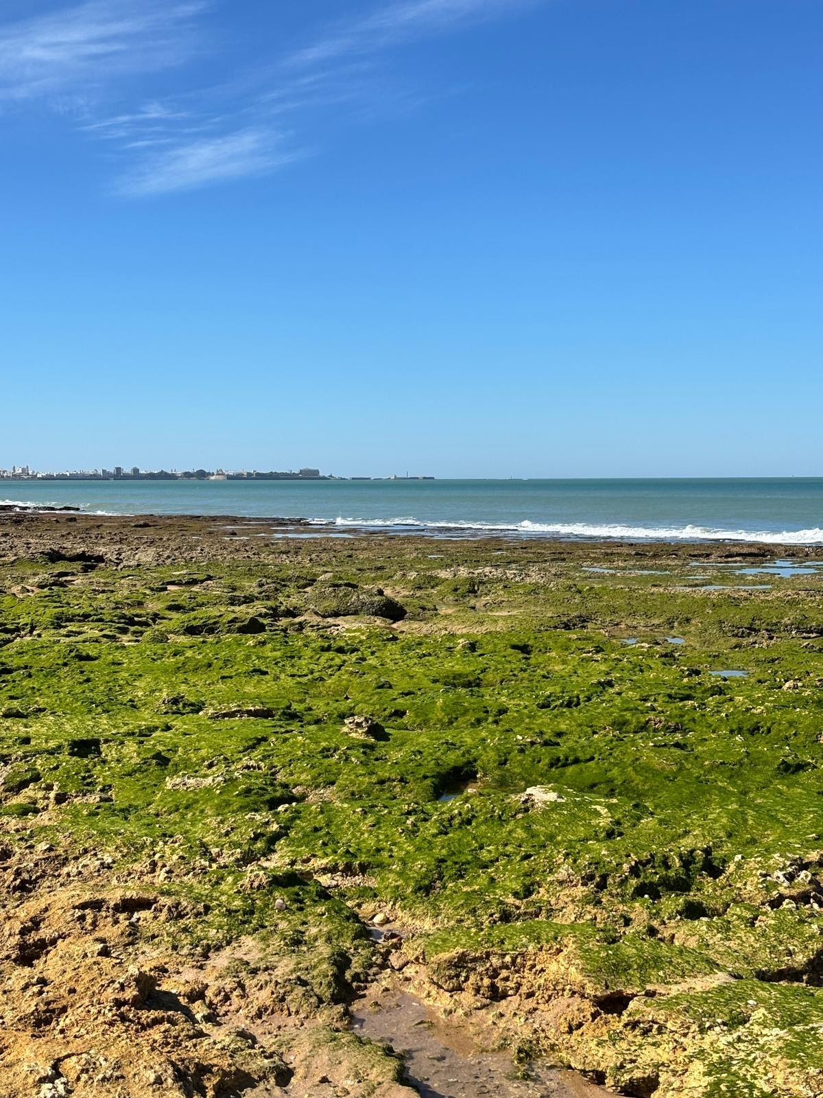 Espectacular piso de lujo y máxima eficiencia energética en El Puerto de Santa María — Vistahermosa - Fuentebravía, El Puerto de Santa María (6)