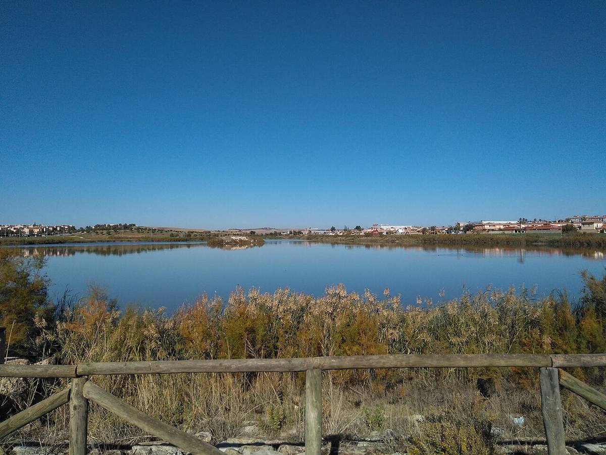 Panorámica de la Laguna de Torrox en Jerez de la Frontera.