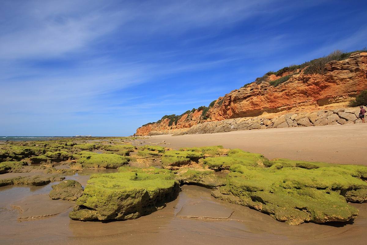 Acantilados y zona de costa en la Playa de la Barrosa, Chiclana.