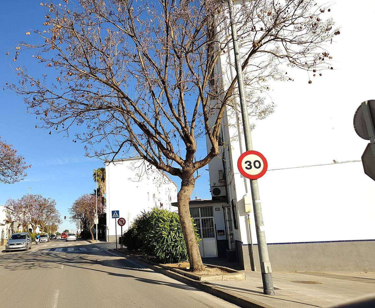 Calle residencial con edificios de viviendas en Sanlúcar de Barrameda.