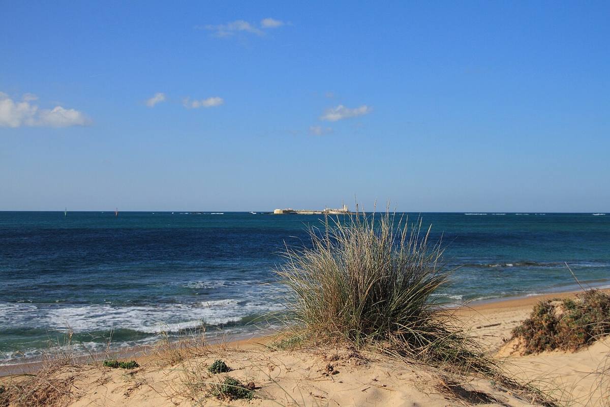 Dunas en la playa de Sancti Petri, en Chiclana de la Frontera.