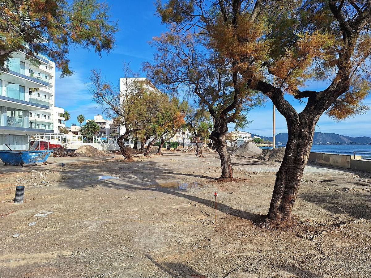 Trabajos de construcción y acondicionamiento en Cala Millor.