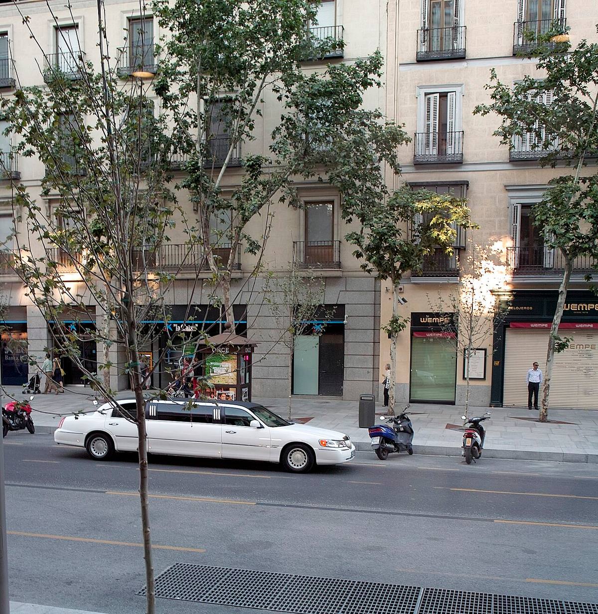Edificios residenciales y comerciales en la calle de Serrano, en el distrito de Salamanca.
