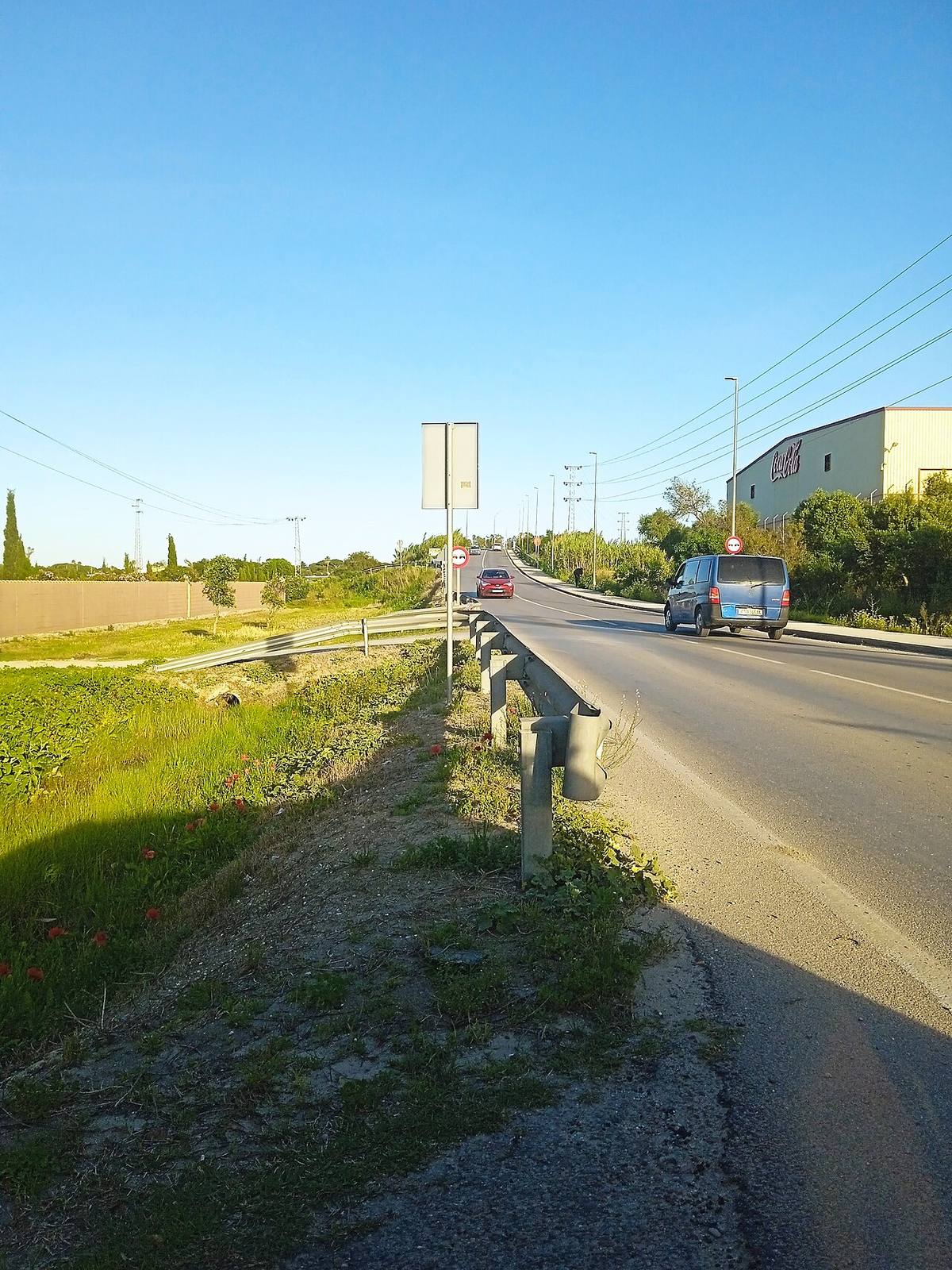 Vista de una carretera en la zona del Pago del Humo, en Chiclana de la Frontera.
