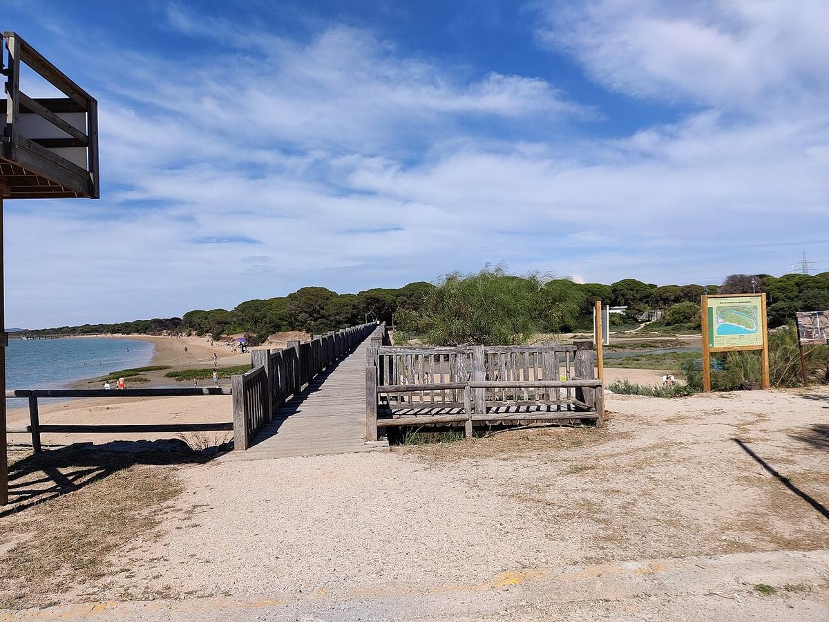 Pasarela de acceso a la playa de la barriada del Río San Pedro en Puerto Real.