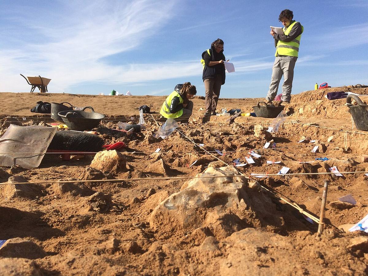 Área de excavación arqueológica de El Esparragal en El Cañaveral, Madrid.