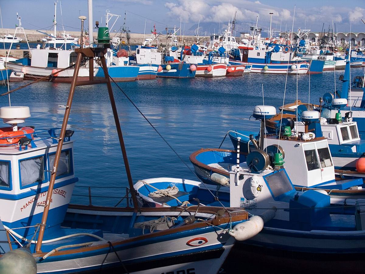 Embarcaciones en el puerto pesquero de Tarifa.