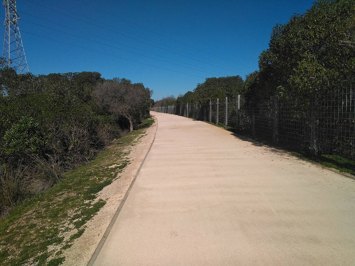 Sendero peatonal en el entorno protegido de la Bahía de Cádiz.