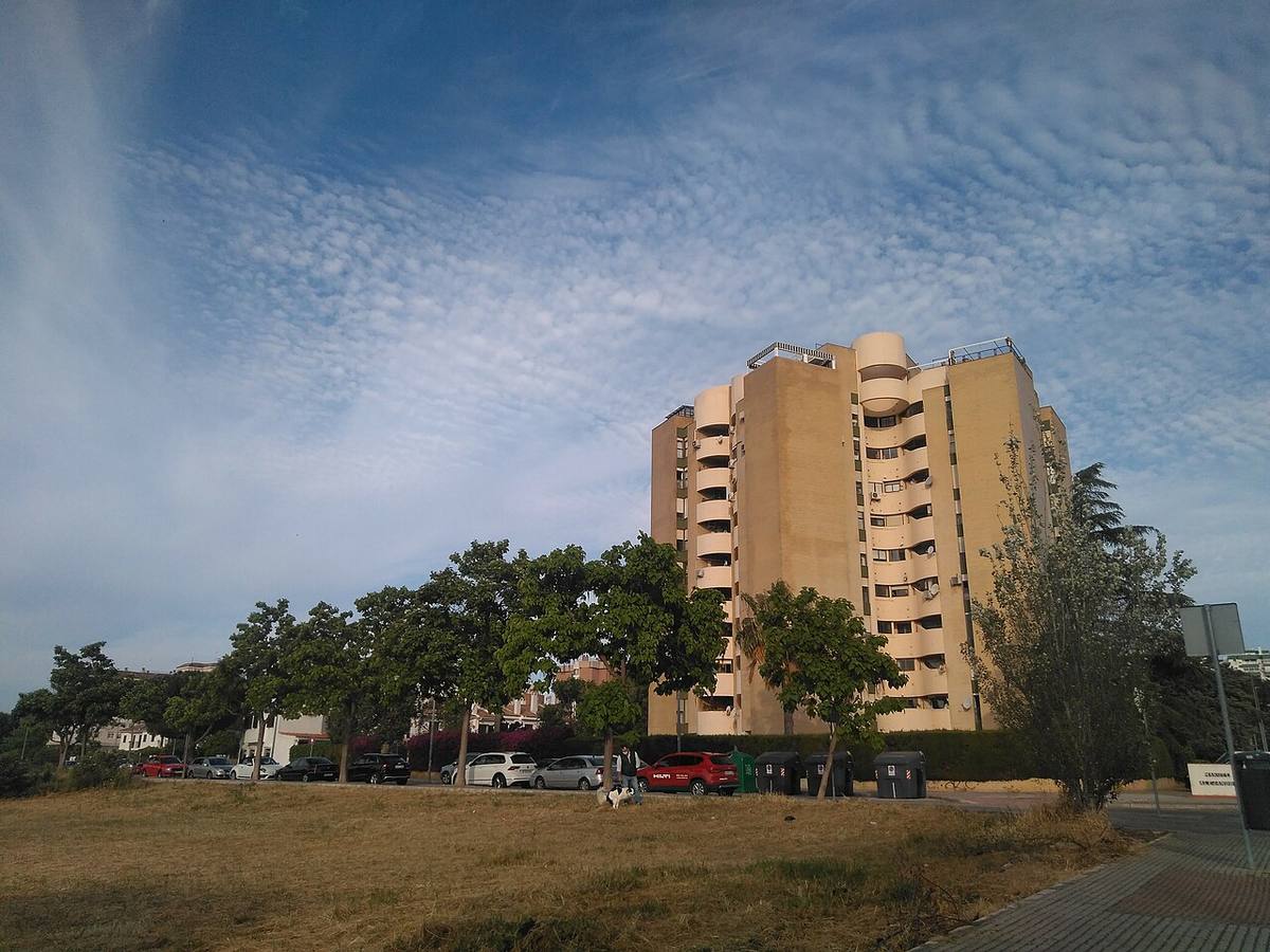 Edificio de viviendas protegidas (VPO) con locales y aparcamientos.