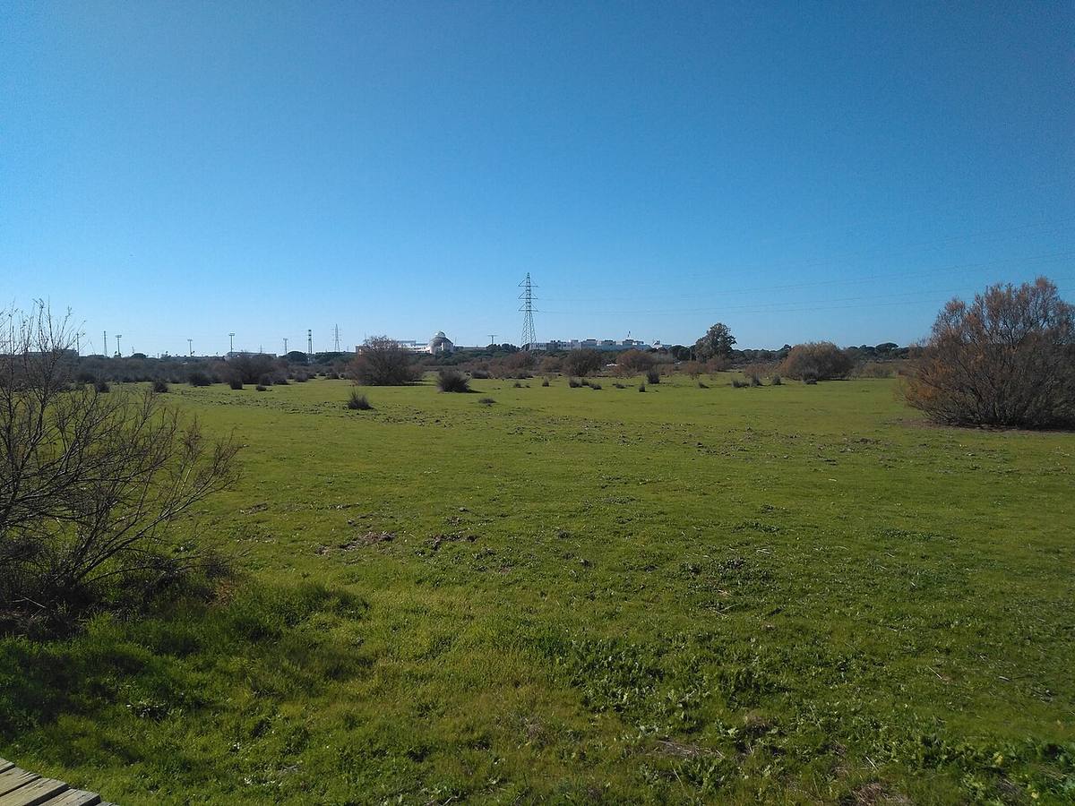 Terrenos del Parque Natural de la Bahía de Cádiz.