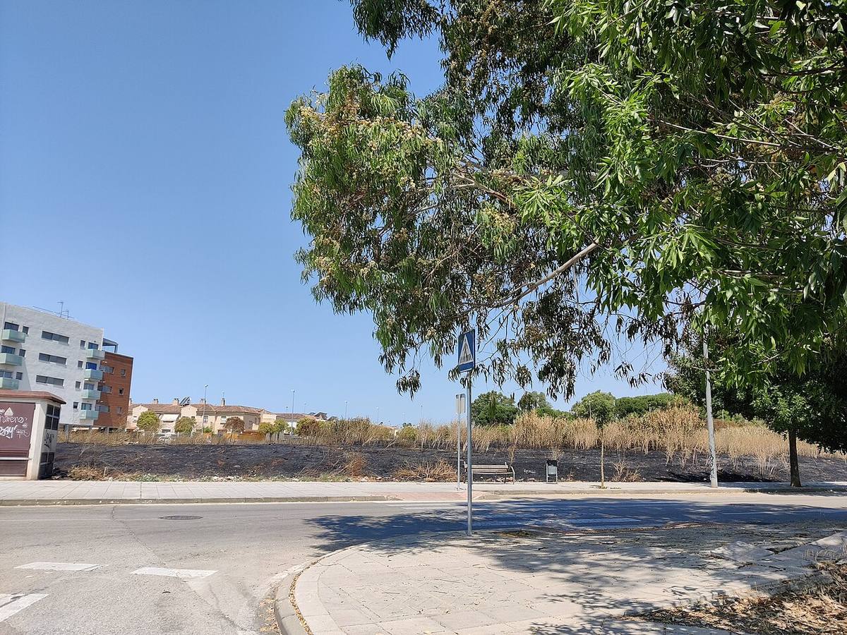 Terrenos baldíos en Pozoalbero donde se proyecta la construcción de nuevas viviendas.