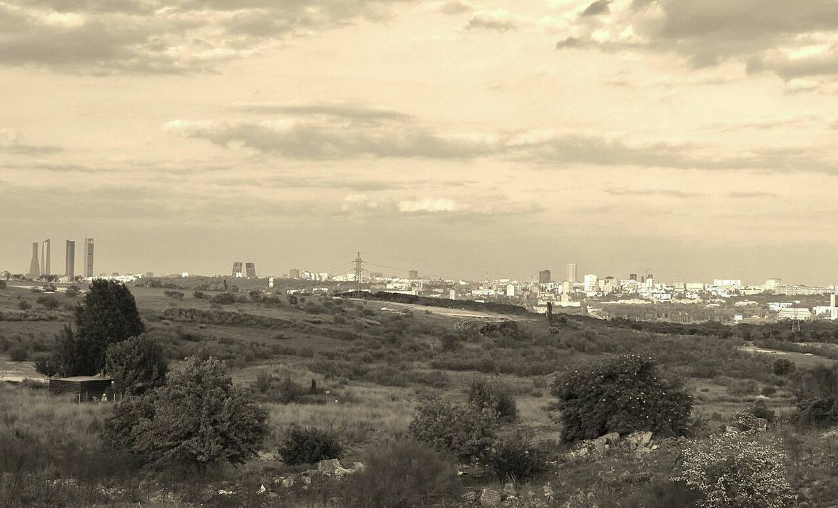Perfil de los rascacielos del norte de Madrid desde la periferia.