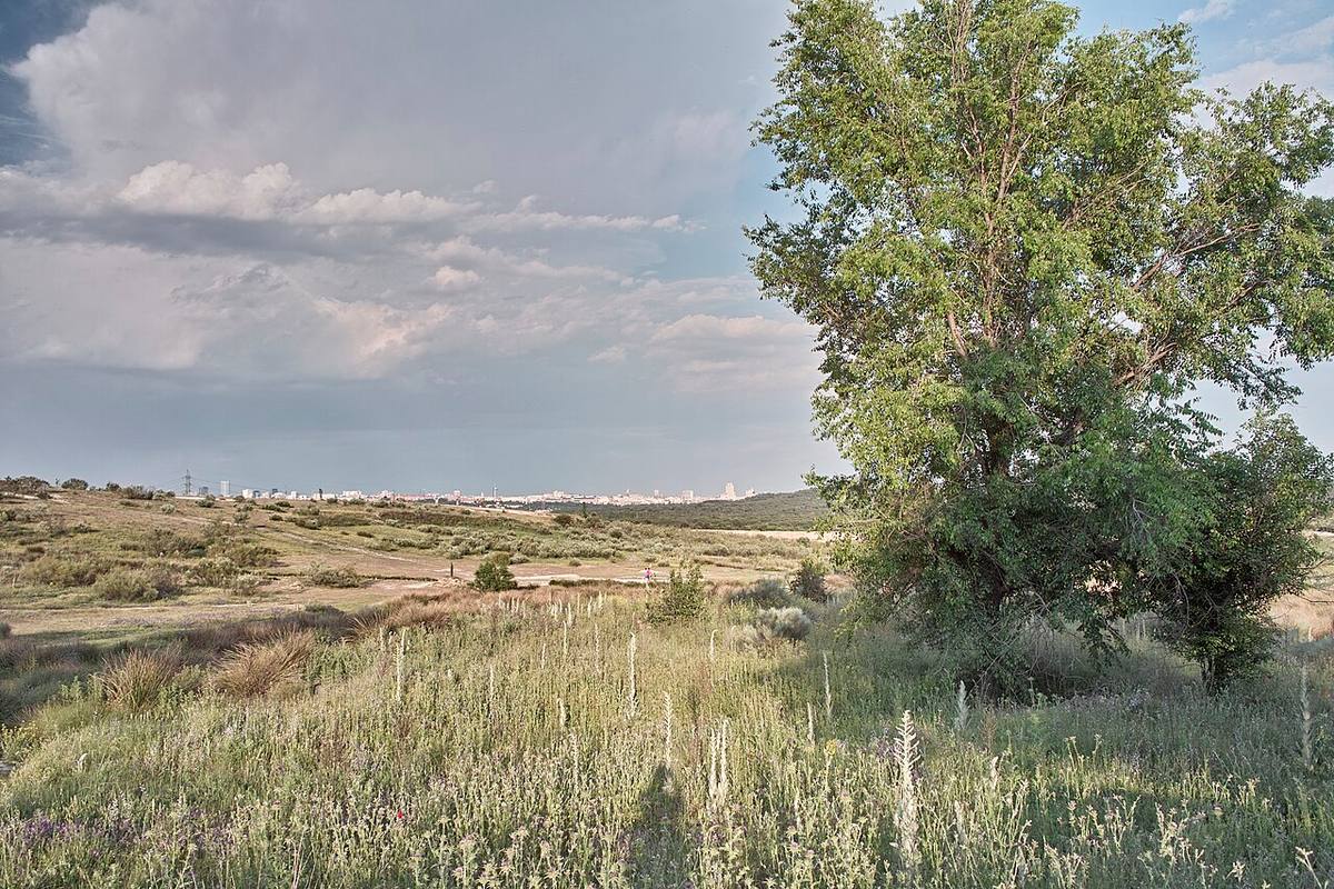 Terrenos en la zona de Los Cerros, en Vicálvaro, donde se proyectan las nuevas viviendas.